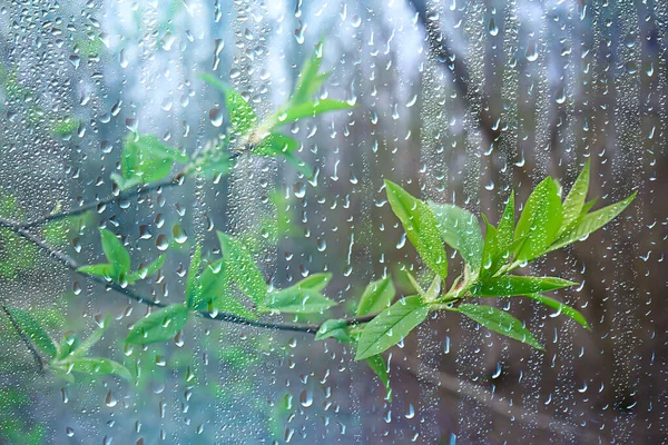 Thunderstorms Expected: IMD Raises Yellow Alert for Nagpur and Vidarbha