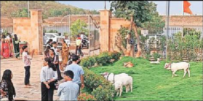 Pugnur Cows Arrive in Zilpi Mohgaon: A Blessing for Nagpur Locals!
								