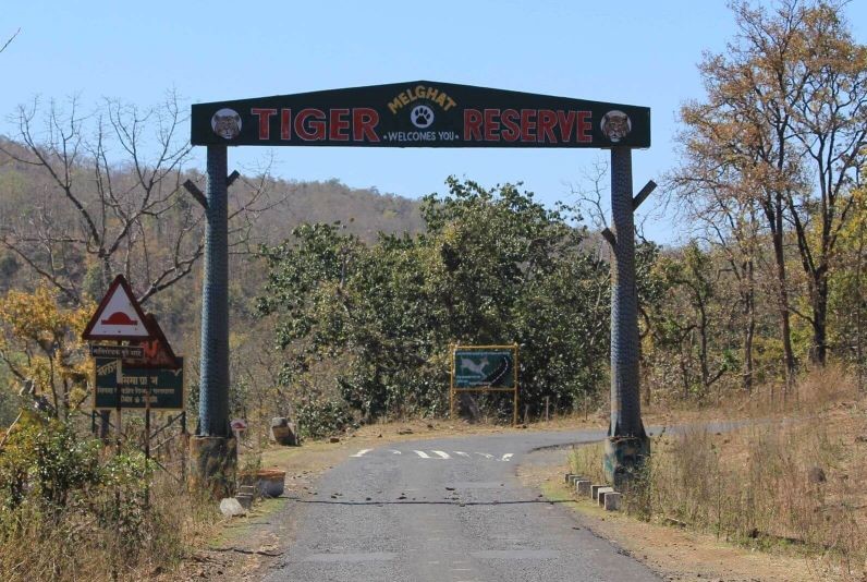 The administrative control of the Buffer Area now handed over to the Bor Tiger Reserve