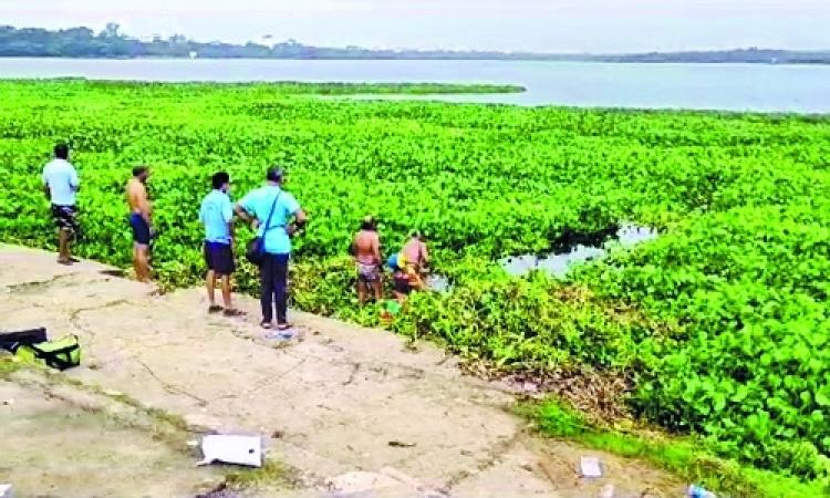 Eichhornia Weed Crisis over Ambazari Lake for Another One Year