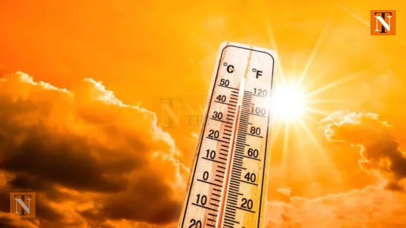 Mercury Hits 36.5°C in City, Experts Predict More Heat in the Coming Weeks