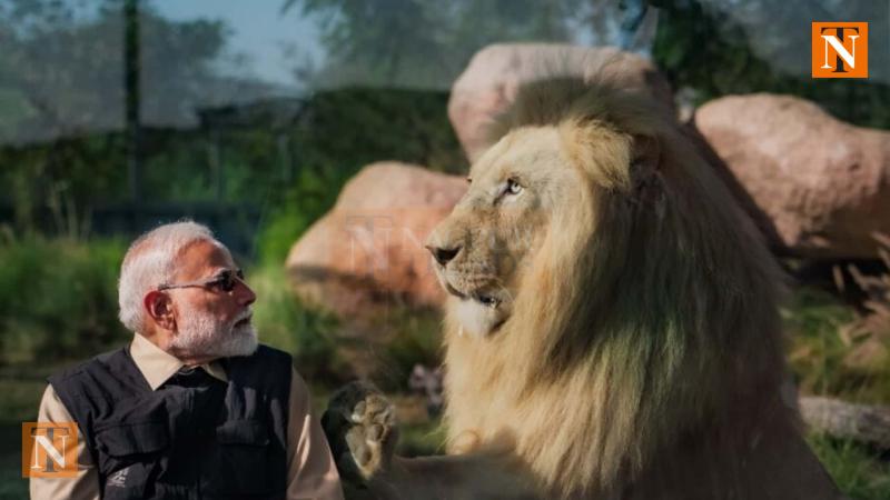 PM Modi Meets Asiatic Lions, Snow Leopards at Gujarat’s Vantara