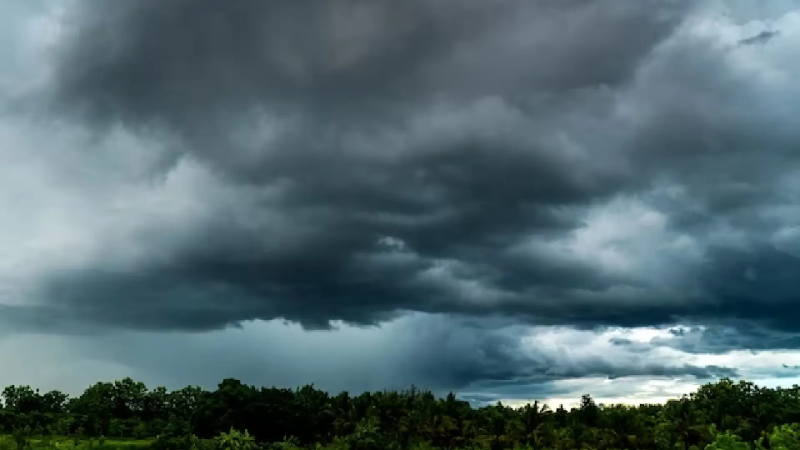 Cloudy Weather Ahead: 4-Day Forecast for Vidarbha