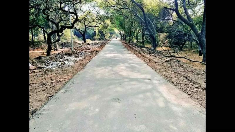 Nagpur’s Sahakar Nagar-Airport Road Becomes Dumping Ground