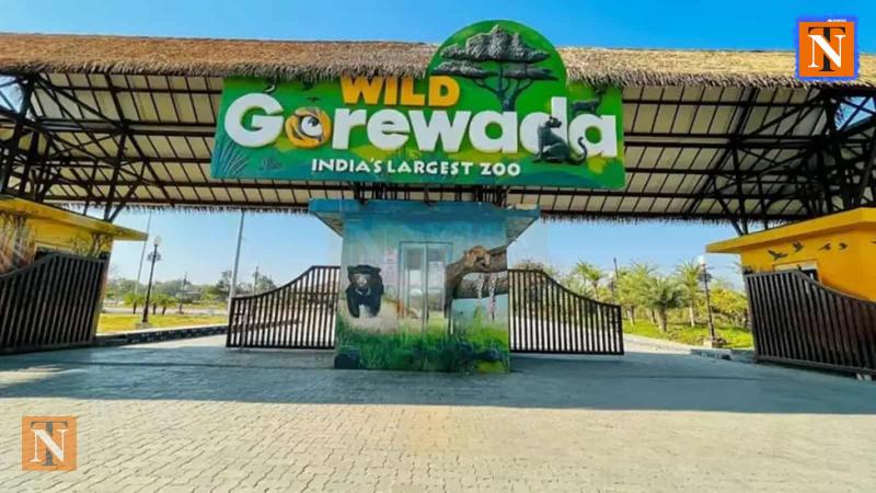 African Safari to Begin Soon at Gorewada Zoo in Nagpur