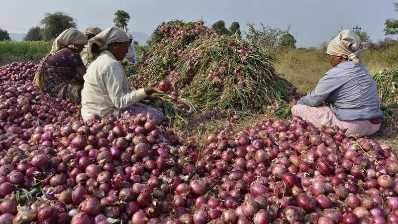 After Tomatoes, now Onions are seeing a Spike in Rates