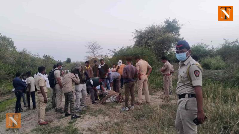 Tiger Poached in Nagpur’s Khapa Forest Range, Body Parts Missing