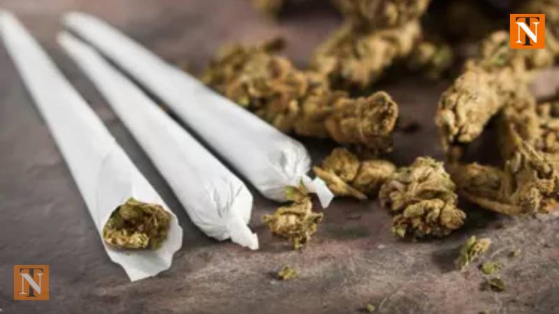 Drug Bust in Sitabuldi: Two Arrested, 713 Grams of Ganja Seized