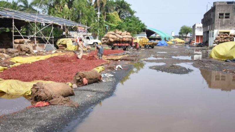 Nagpur Heavy Rain: Flooded Streets, Power Outage, Damaged Agriculture