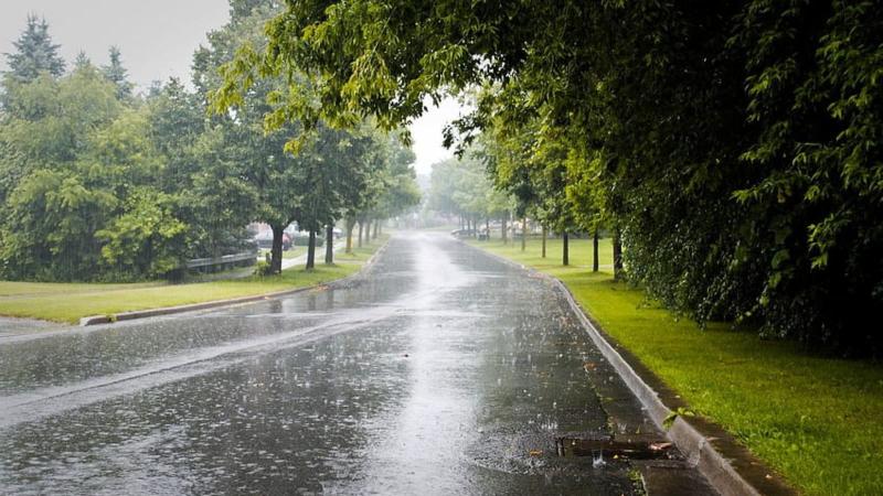 Nagpur's Monsoon Rainfall Begins with 58.8 mm Rainfall in 36 Hours and Storms