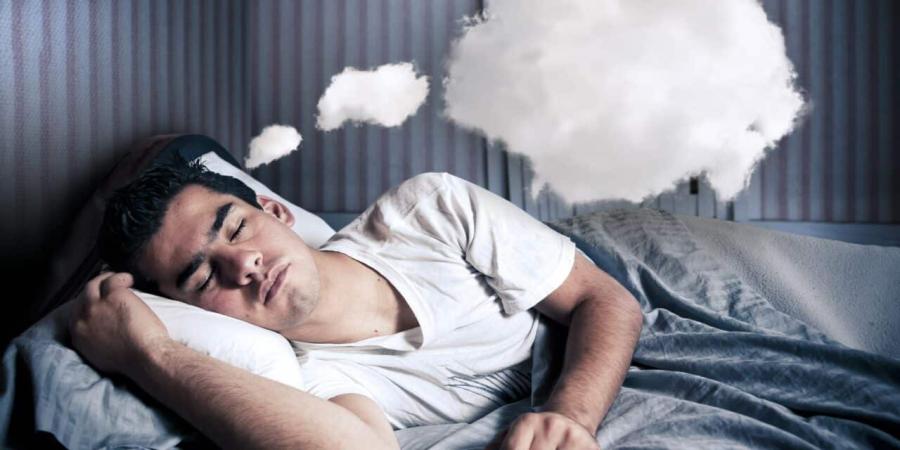 New findings clarify the science underlying dreams