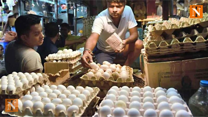 Egg Prices are Skyrocketing, Expected to Drop in August