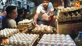 Egg Prices are Skyrocketing, Expected to Drop in August
								