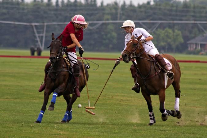 Teams for the Federation Cup of Cycle Polo Announced