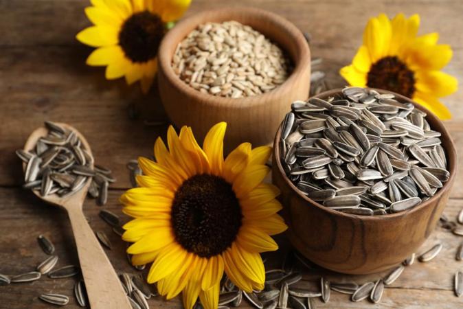 The benefits of sunflower seeds for nutrition