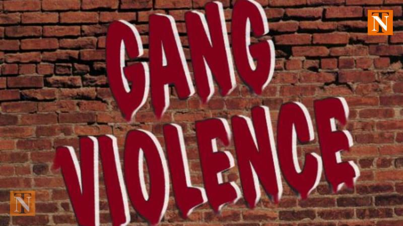 Rival Gang Murders Man in Brutal Attack in Nandanvan