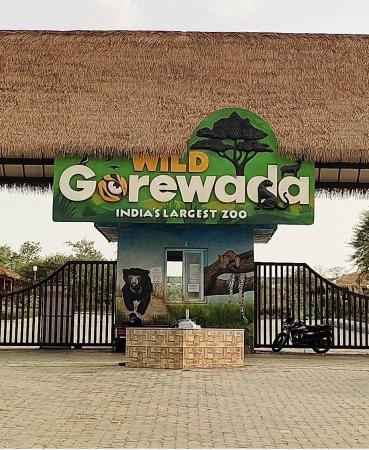 Rare Wildlife Is Welcomed at Gorewada Zoo in Exchange with Lucknow Zoo