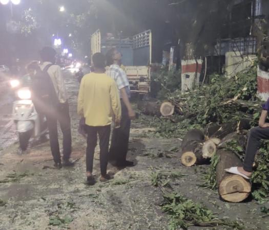 Half an hour The storm batters Nagpur