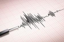 Minor earthquake near Nagpur
								