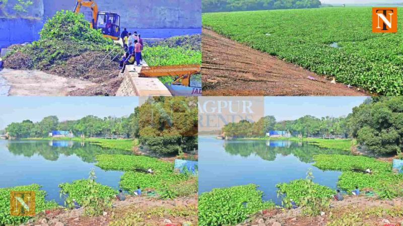 Ambazari Lake Still Struggles with Spreading Eichhornia Weed