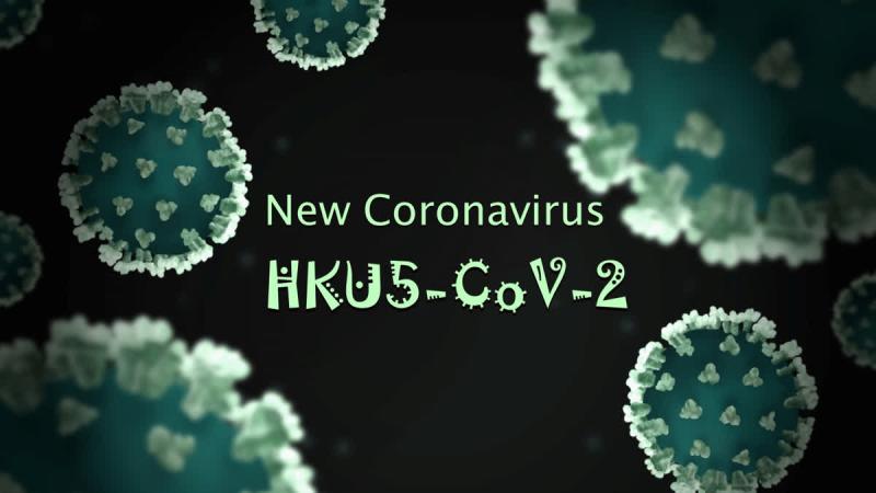 New Bat Coronavirus Discovered in China: Potential Risk of Human Infection Raises Concerns