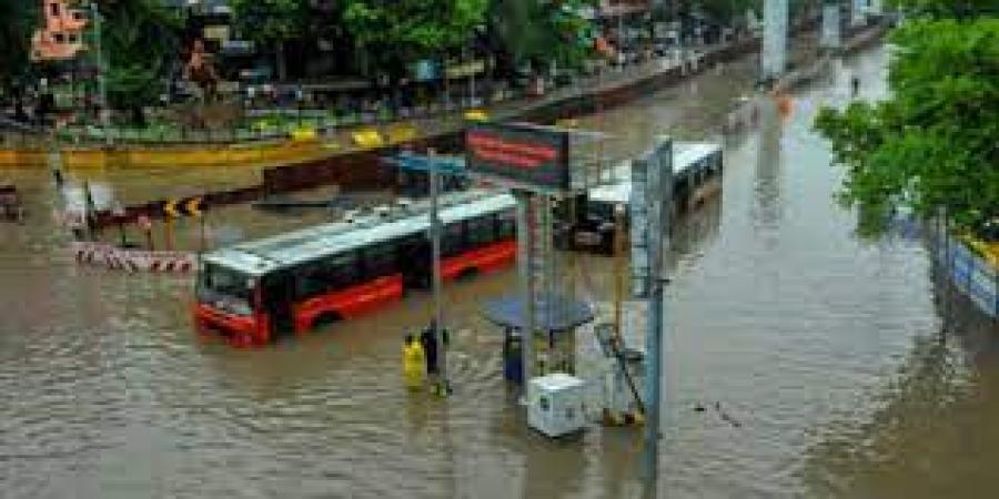 Heavy Rains to Hit Vidarbha This Week, Says IMD