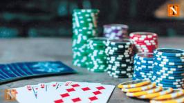 Nagpur Police Conduct Raids, Seize Property in Gambling and Prohibition Cases
								