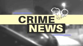 Nagpur Crime Branch Unit No. 2 Uncovers Major Theft Ring
								