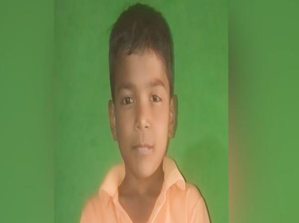 Tragic Cat Attack Claims Young Boy's Life in Nagpur